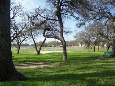 View of park