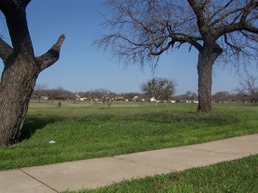 View across park