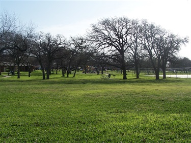 View across park