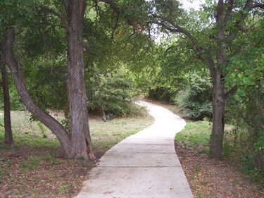 Trail through the woods