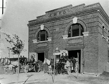 Station 8 horse