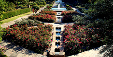 fw-botanic-garden.png