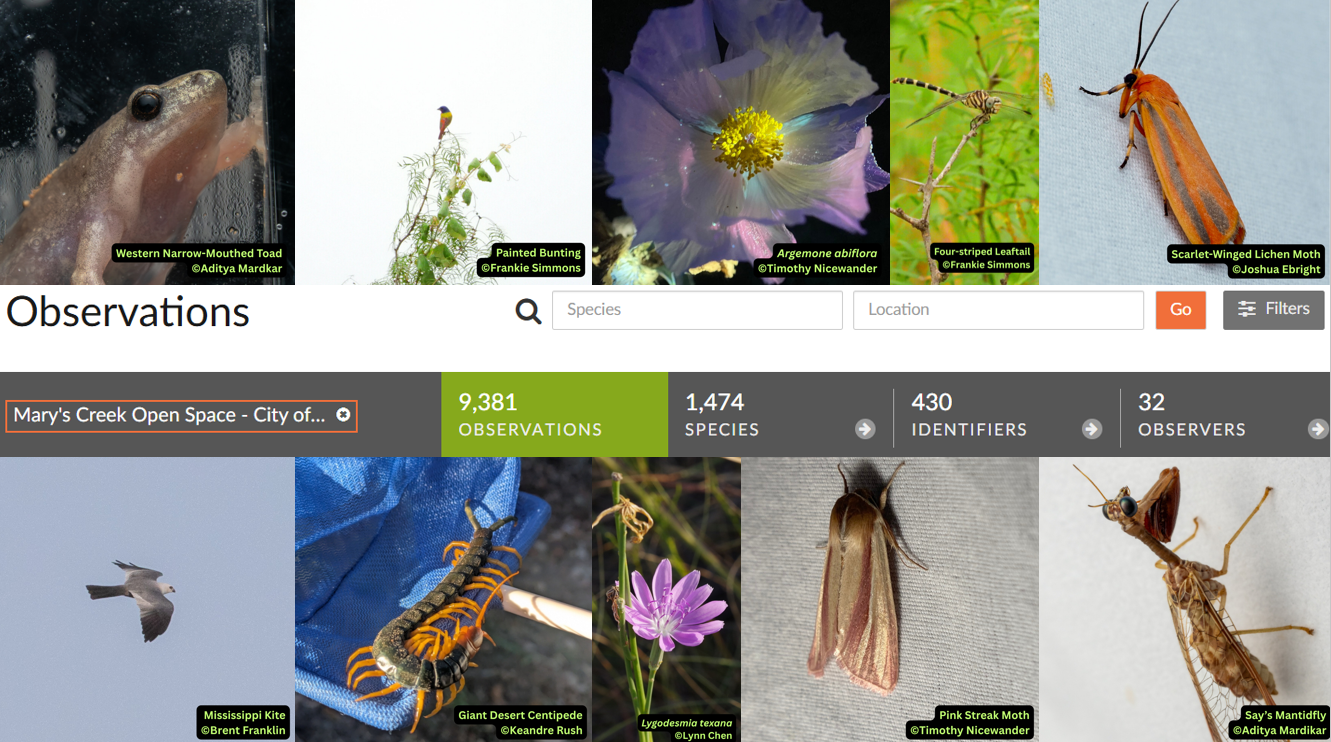 1marys-creek-species.png