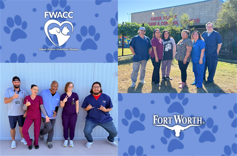 fwacc live release rate soars CITY NEWS.png