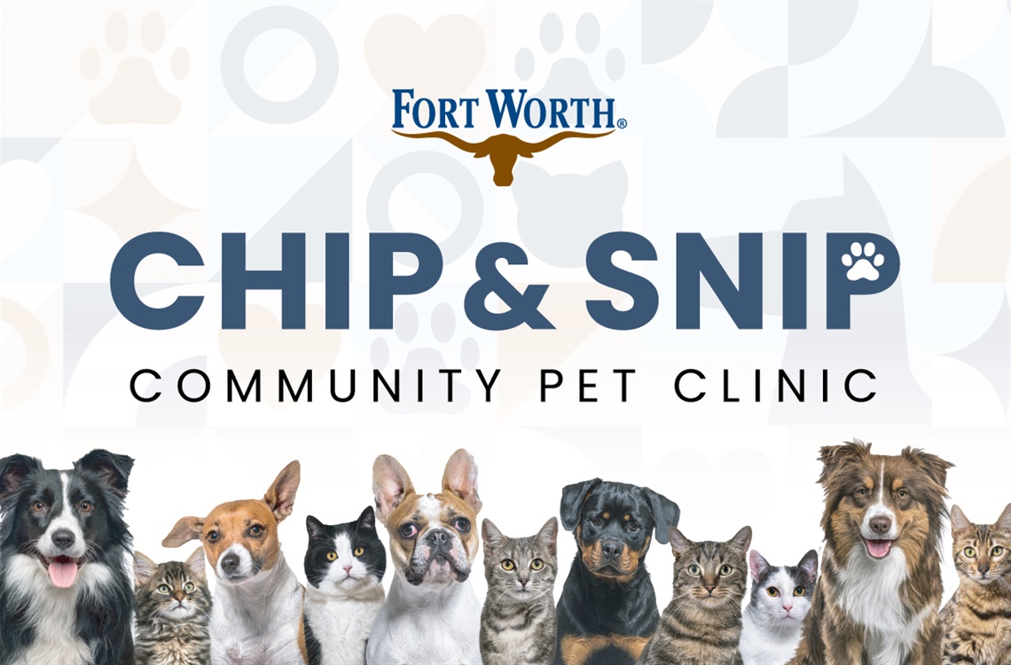 Chip and Snip Widget 2026.jpg