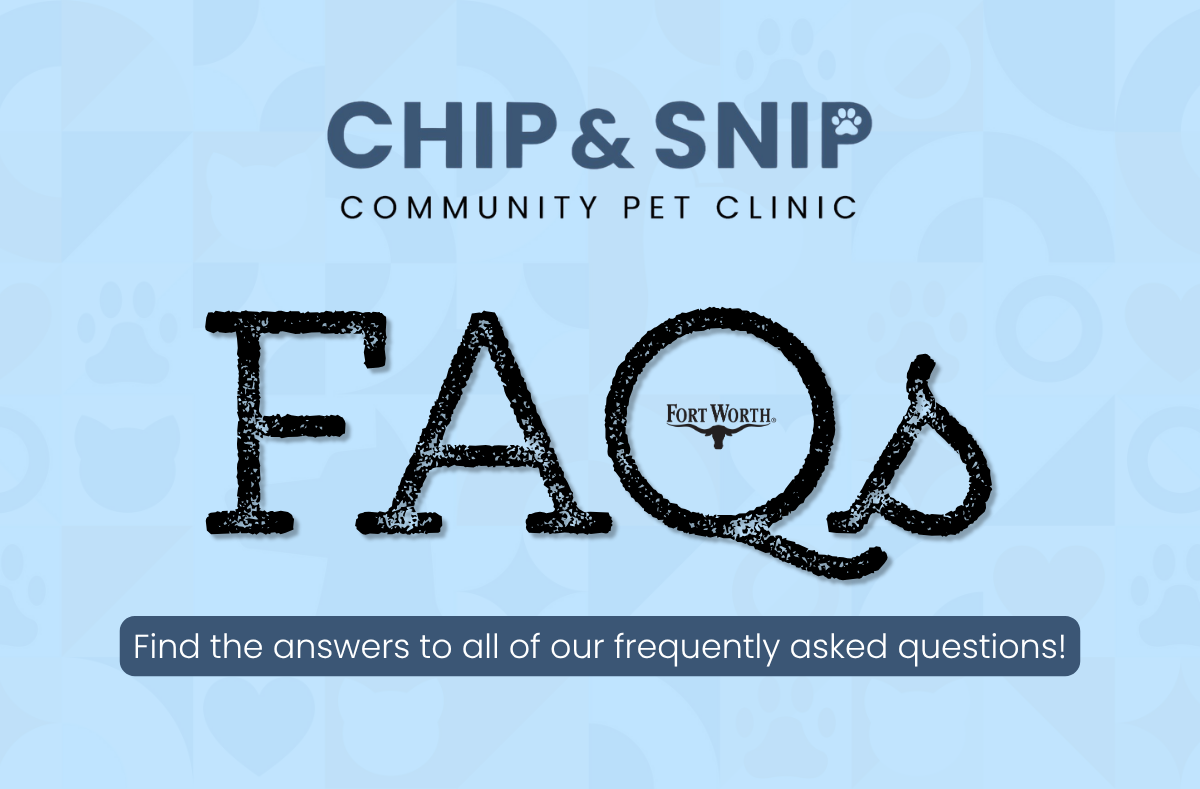 Chip & Snip FAQs widget.png