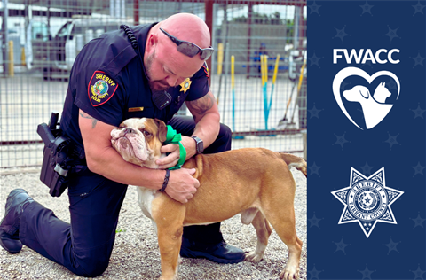 Dogs and deputies.png