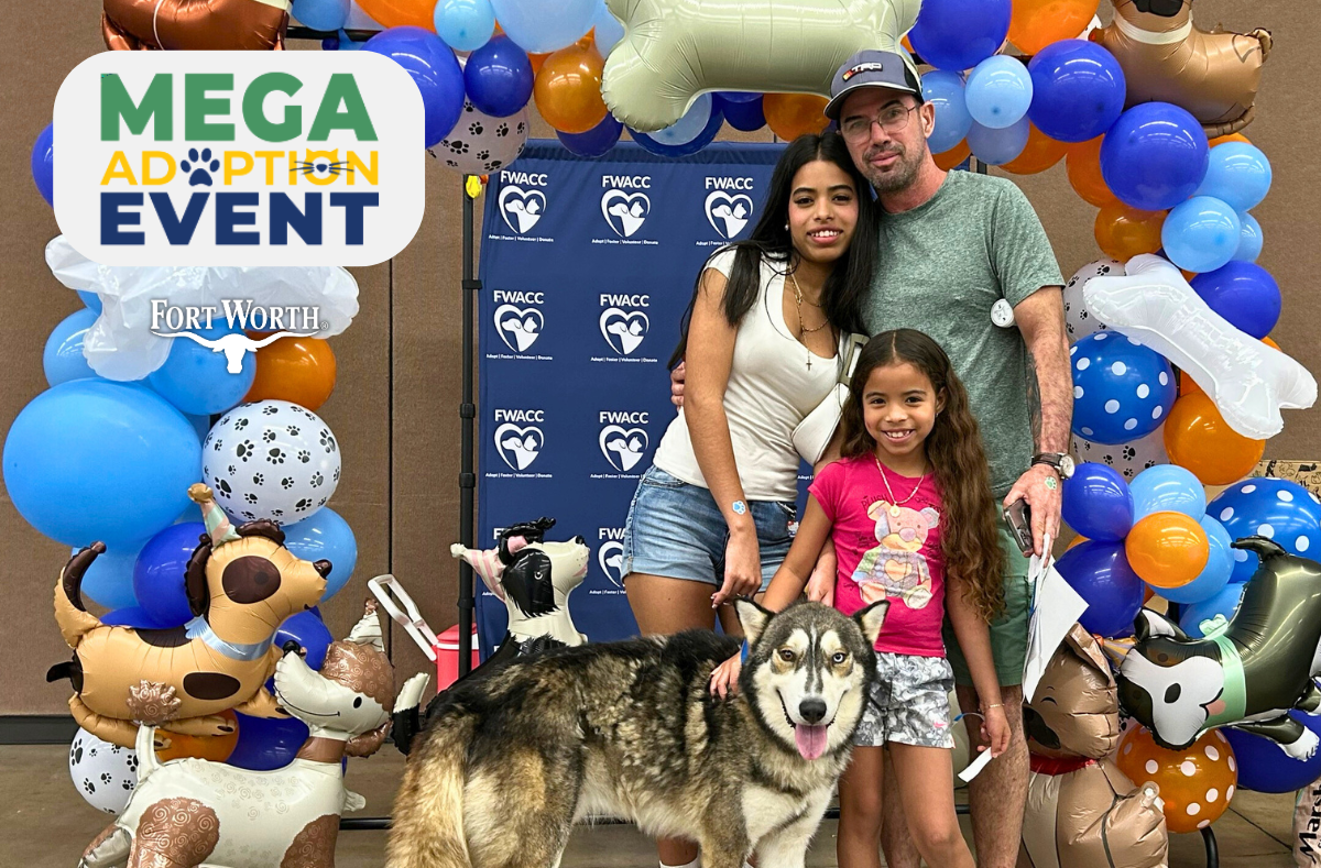 FWACC Celebrates 78 Adoptions at MEGA Adoption Event – Welcome to the ...