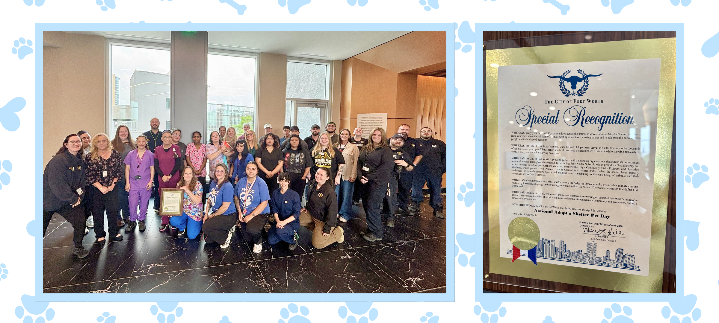 national adopt a shelter dog collage.png