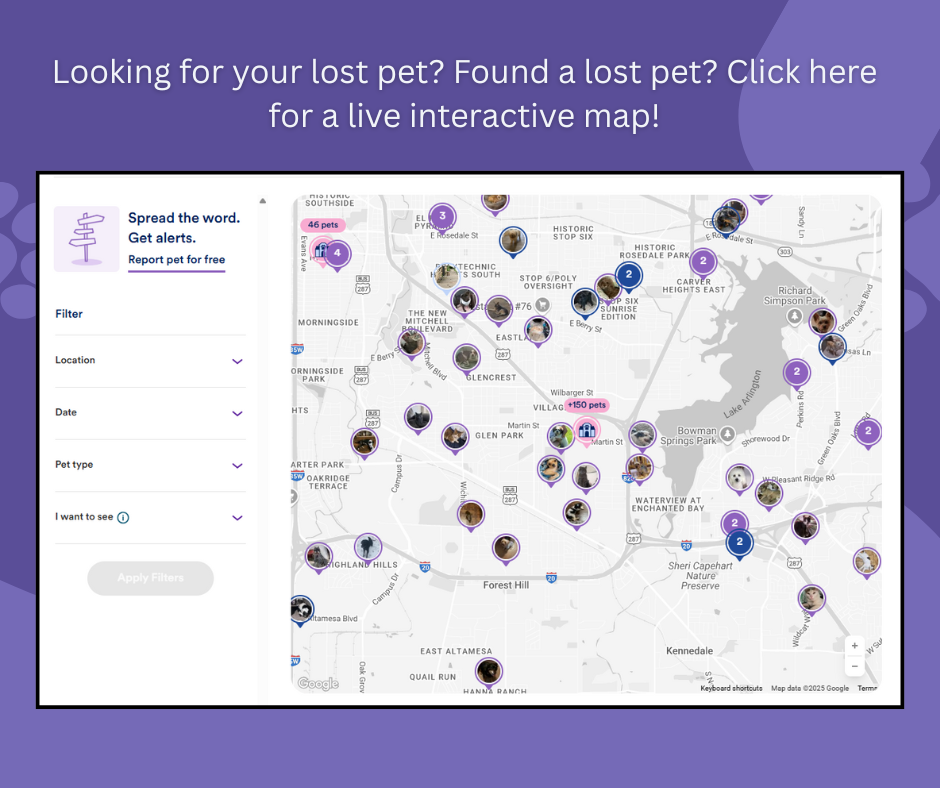 Map form Petspoint finding lost animals