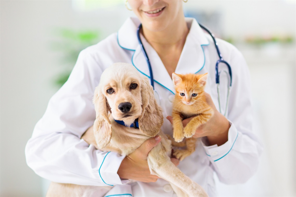 puppy-and-kitten-with-vet