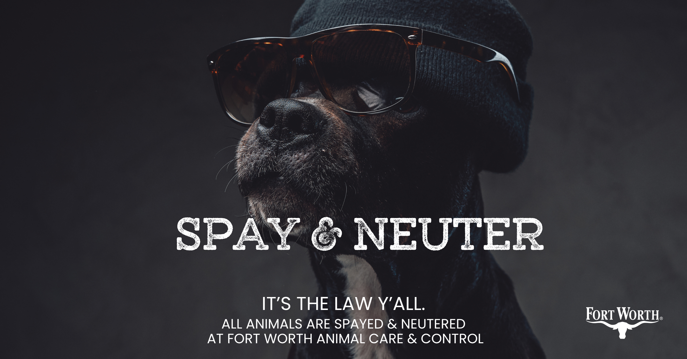 spay & neuter carousel.png