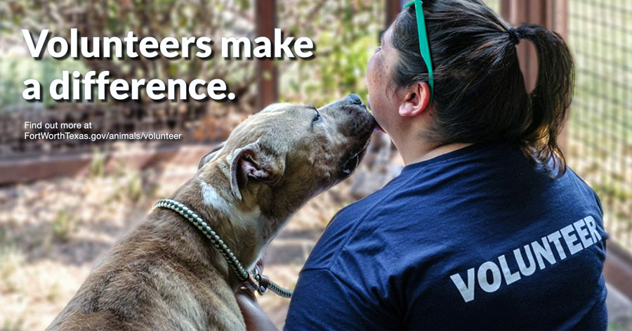 Volunteers make a difference