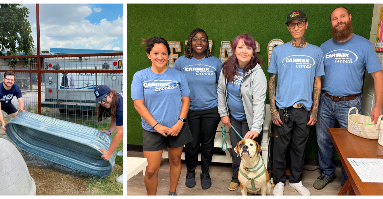Volunteer Spotlight collage 2.png