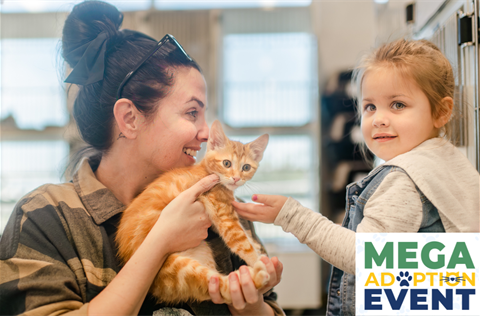 Mega adoption event 2026 roundup.png