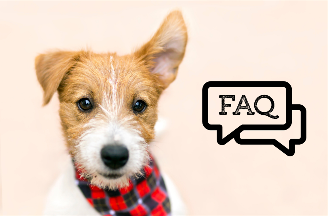 FAQ dog widget.png