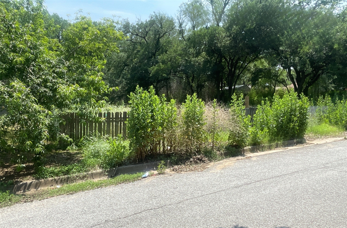 High grass widget.png