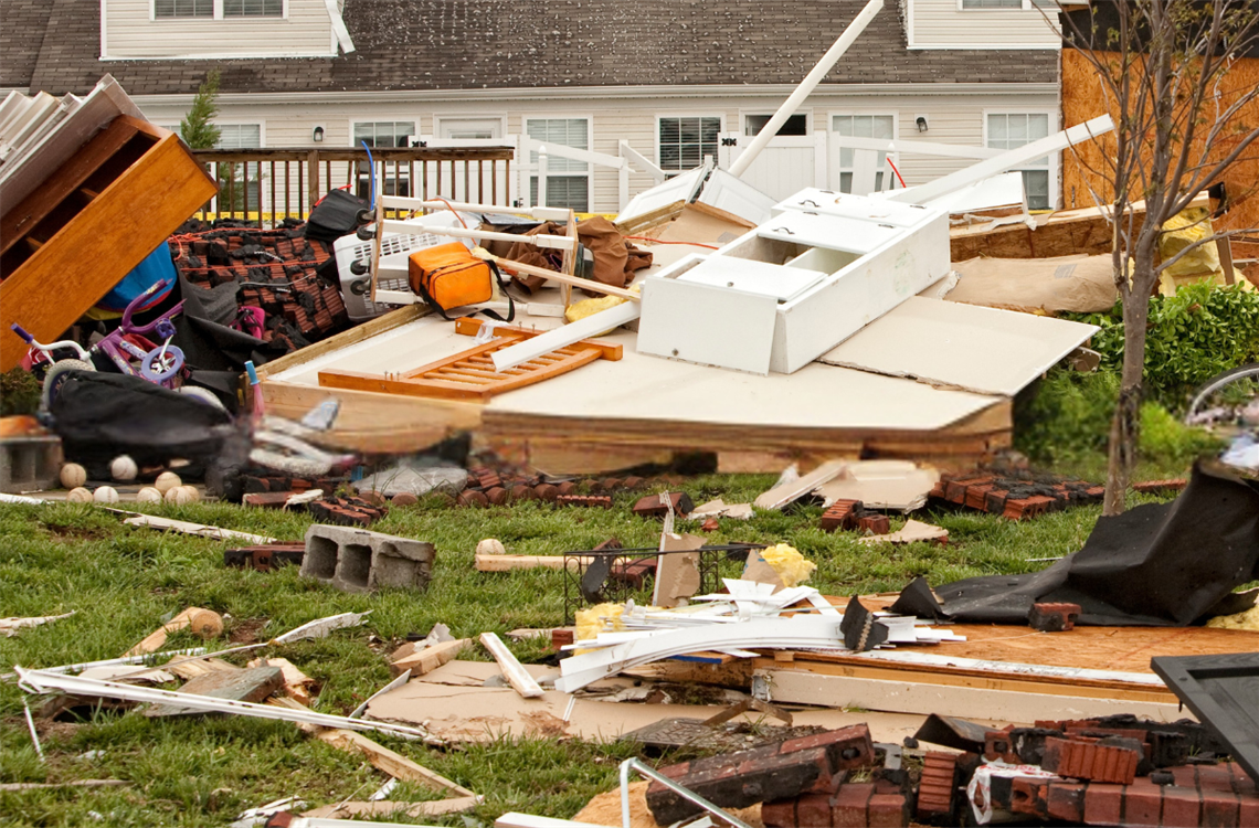 Property Waste and Debris widget.png