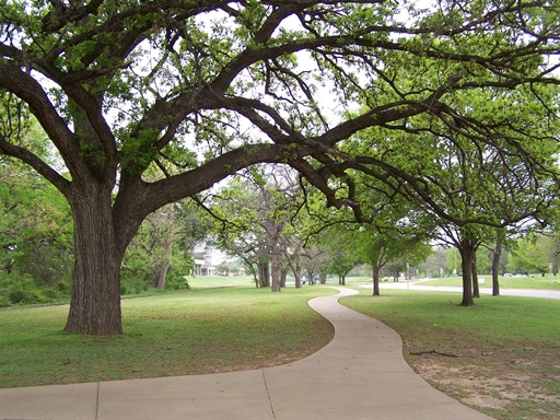 Forest Park trail through park