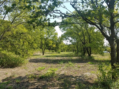 urban forestry geographic areas North Fort Worth