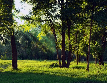 South of Loop 820 in fort Worth at Chisolm Trail