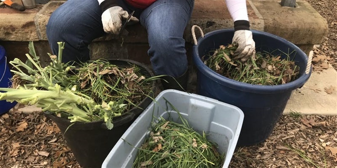 master-composter-compost-101.jpg