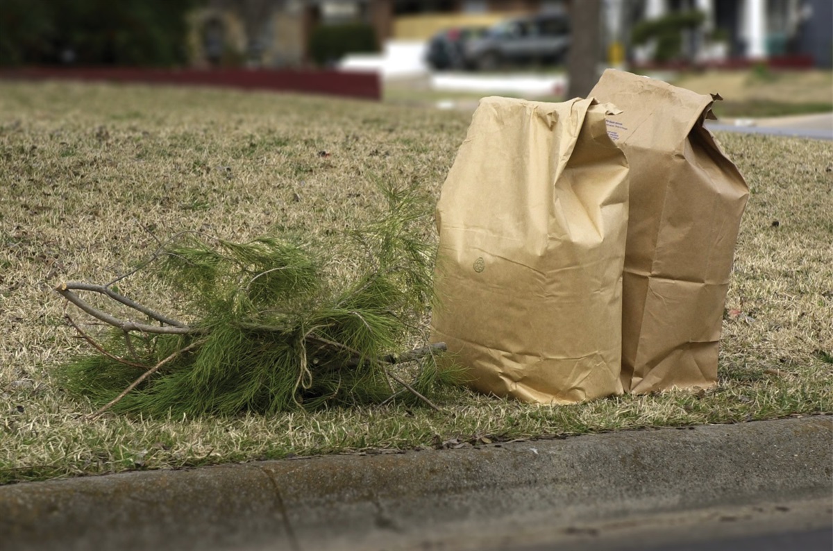Removal of Yard Waste Bags