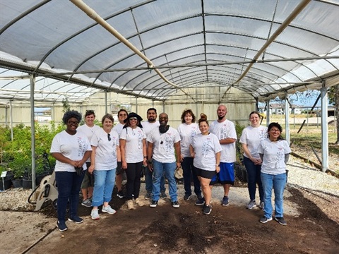 boa-volunteers