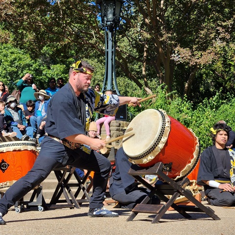 goisagi performance