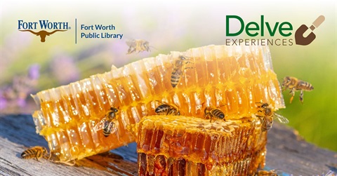delve-suite-bees_x.jpg