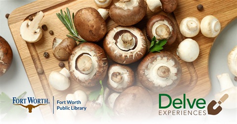 delve-suite-mushroom_x.jpg