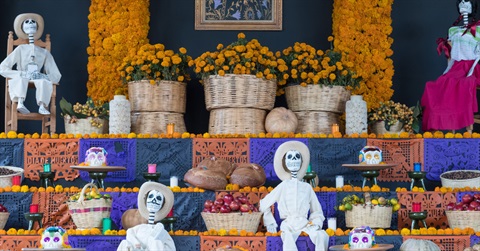 dia-de-los-muertos graphic