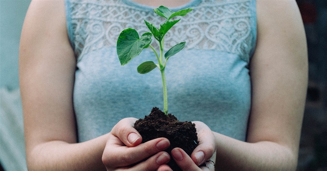 Earth Day Seedling