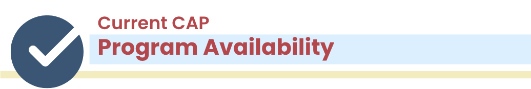 CAP-Banner-Status.png