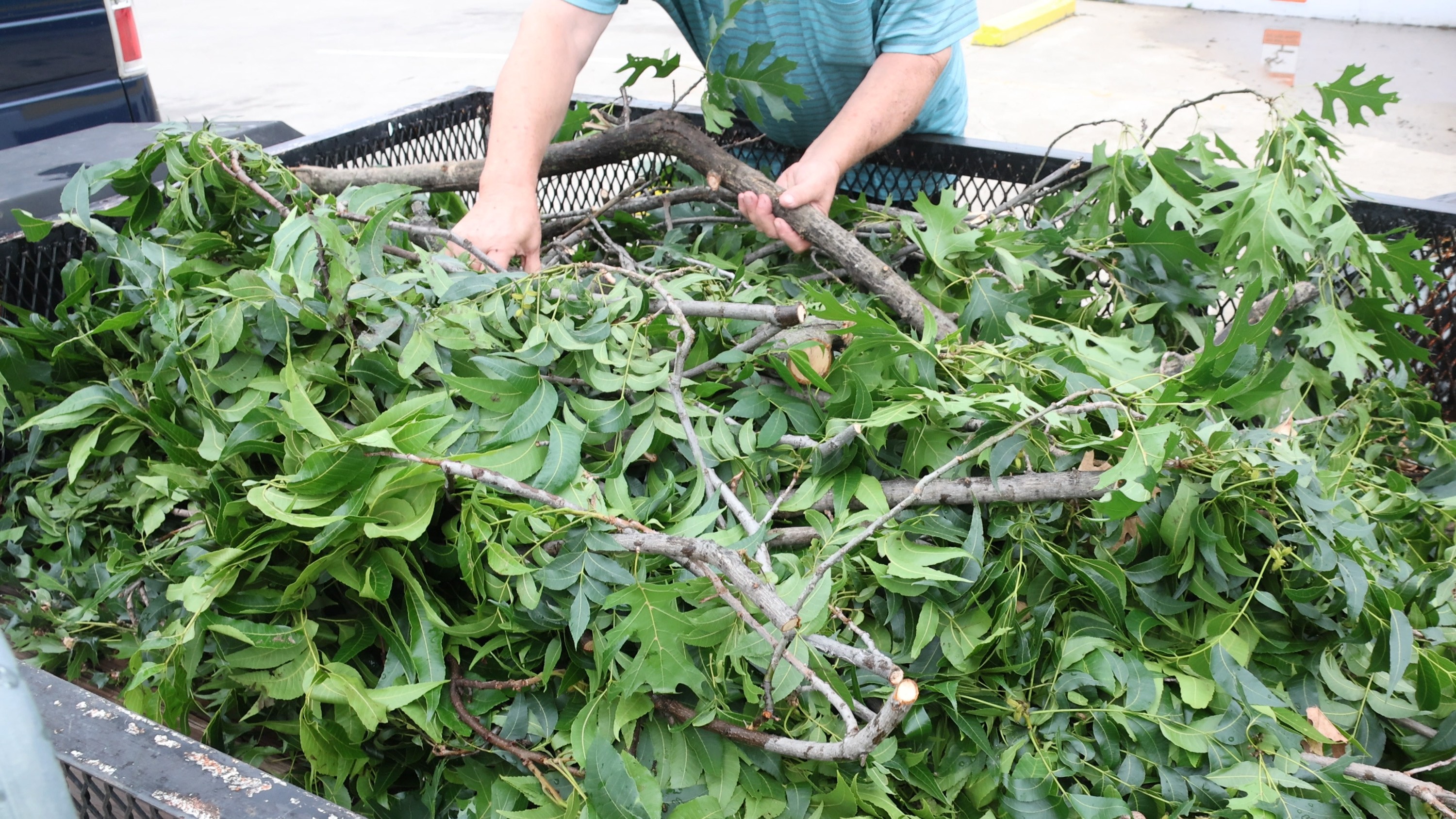 2026_08.28_ENVD_YardBrush_Photo.jpg
