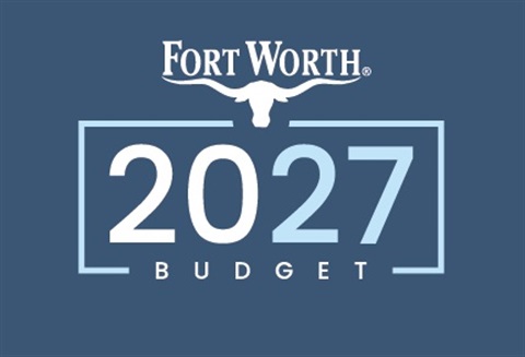 budget graphic