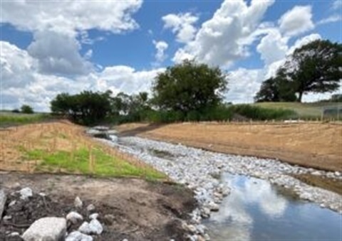 ham branch restoration