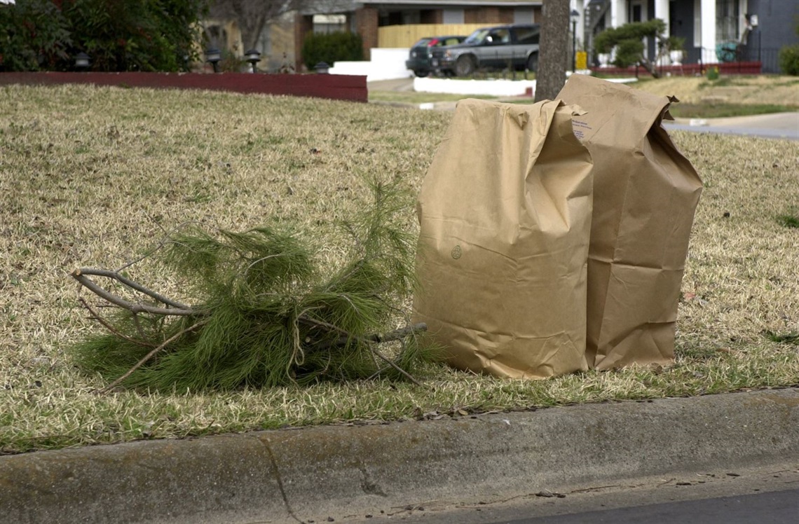 CITY NEWS code-fall brush collection.jpg