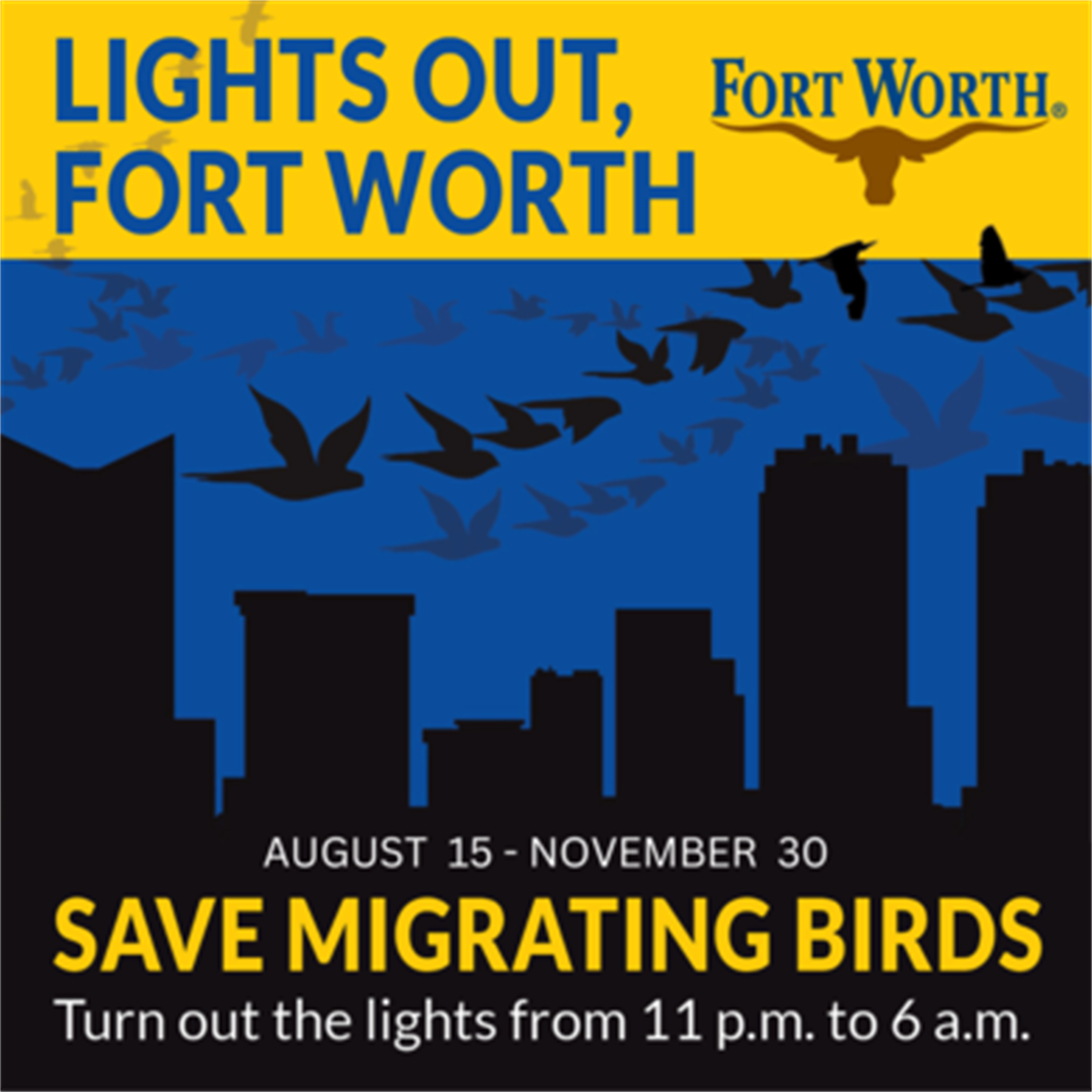 CITY NEWS code-lights out for birds-fall.png