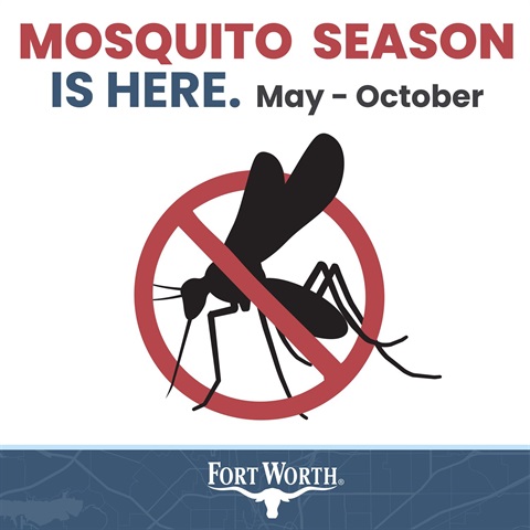 mosquito season