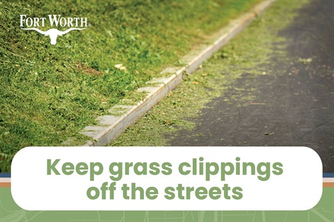grass-clippings