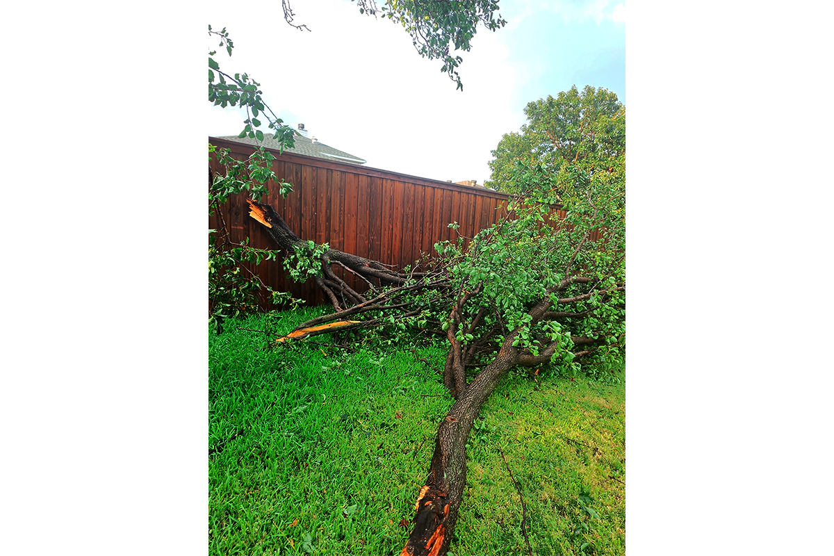 CITY NEWS enviro-storm debris.jpg