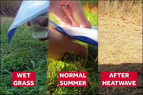 drought.jpg