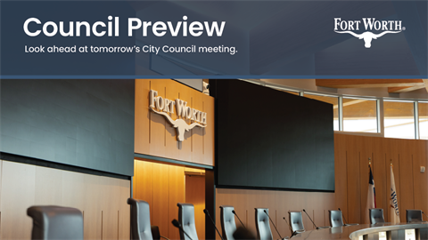 Council Preview 2.png