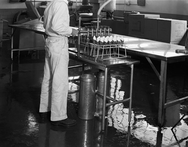 drumstick-boswell-dairy-1.jpg