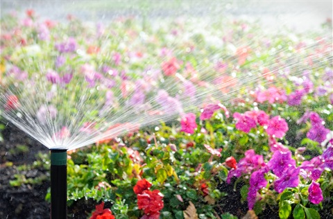 sprinkler-with-flowers