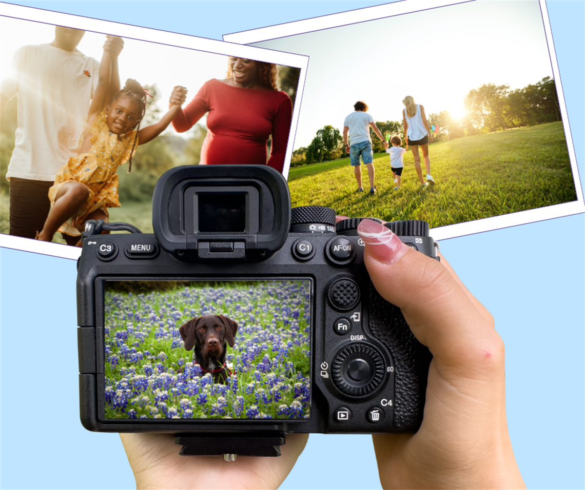 A graphic with a camera and professional photographs taken in a park.