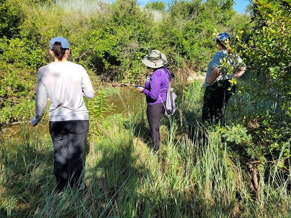 Interns conducting stream survey