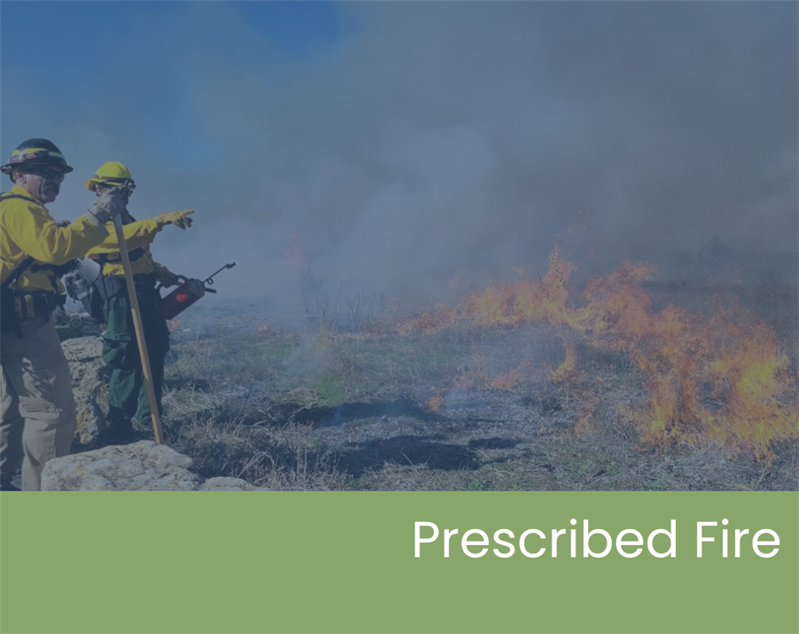 Services & Activities (14).png