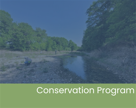 Photo with creek words 